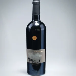 VINAŘSTVÍ SEDLÁK Cabernet Franc ICONE, limitovaná edice, suché
